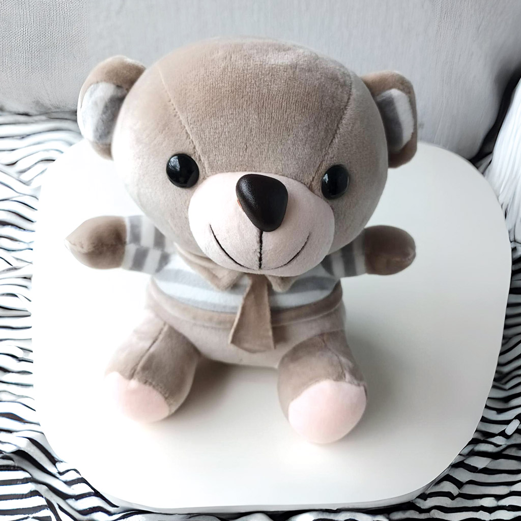 Oso de peluche
$25.000